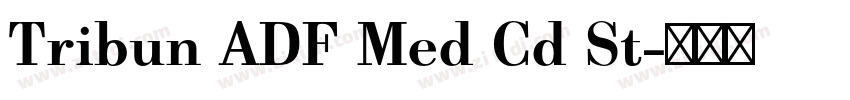 Tribun ADF Med Cd St字体转换